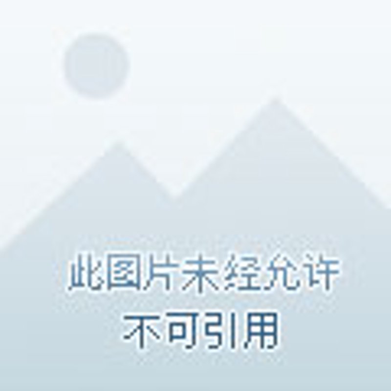 创业服务引领未来方向