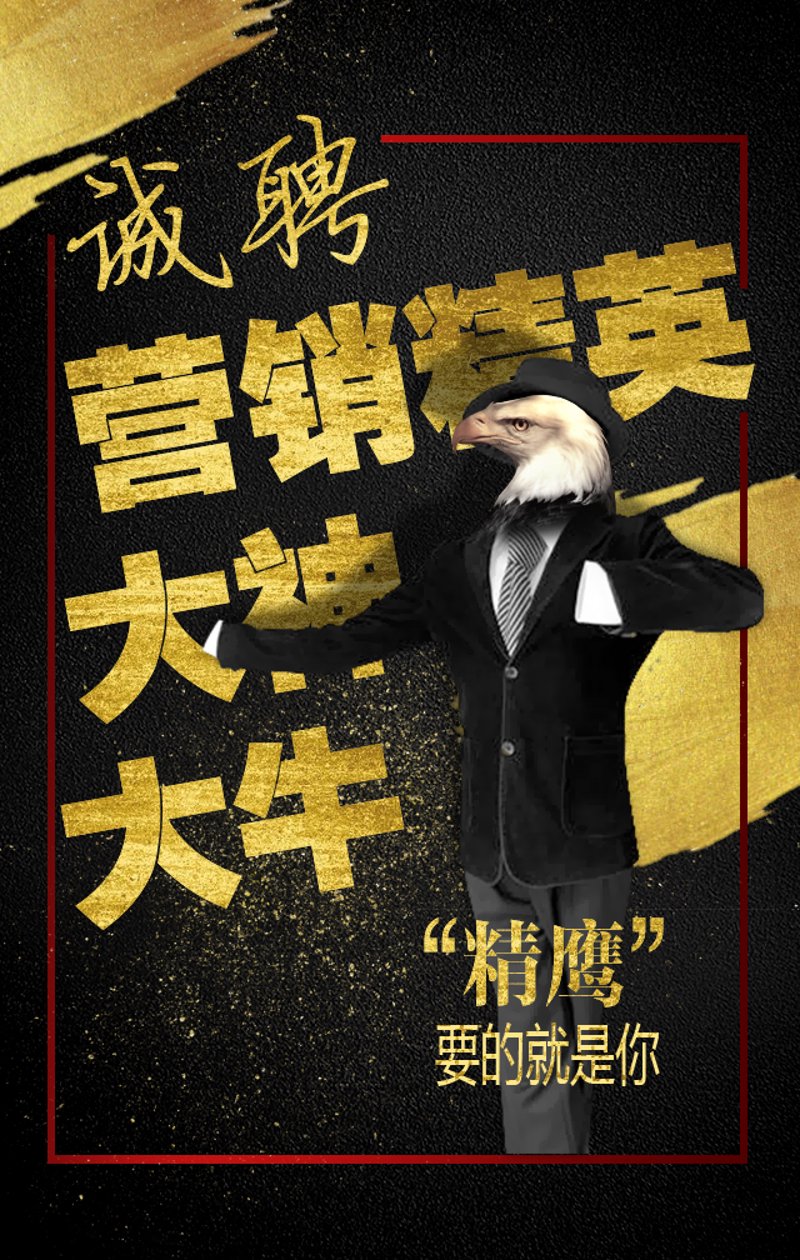 大学生创业：筑梦启航的新篇章